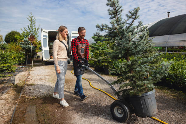 How Our Tree Care Process Works  in  Gluckstadt, MS